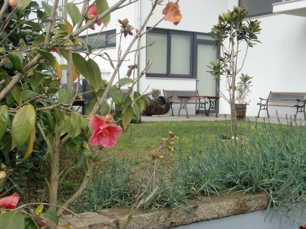 Casa De Coelhosa Hotel Vale de Cambra Kültér fotó