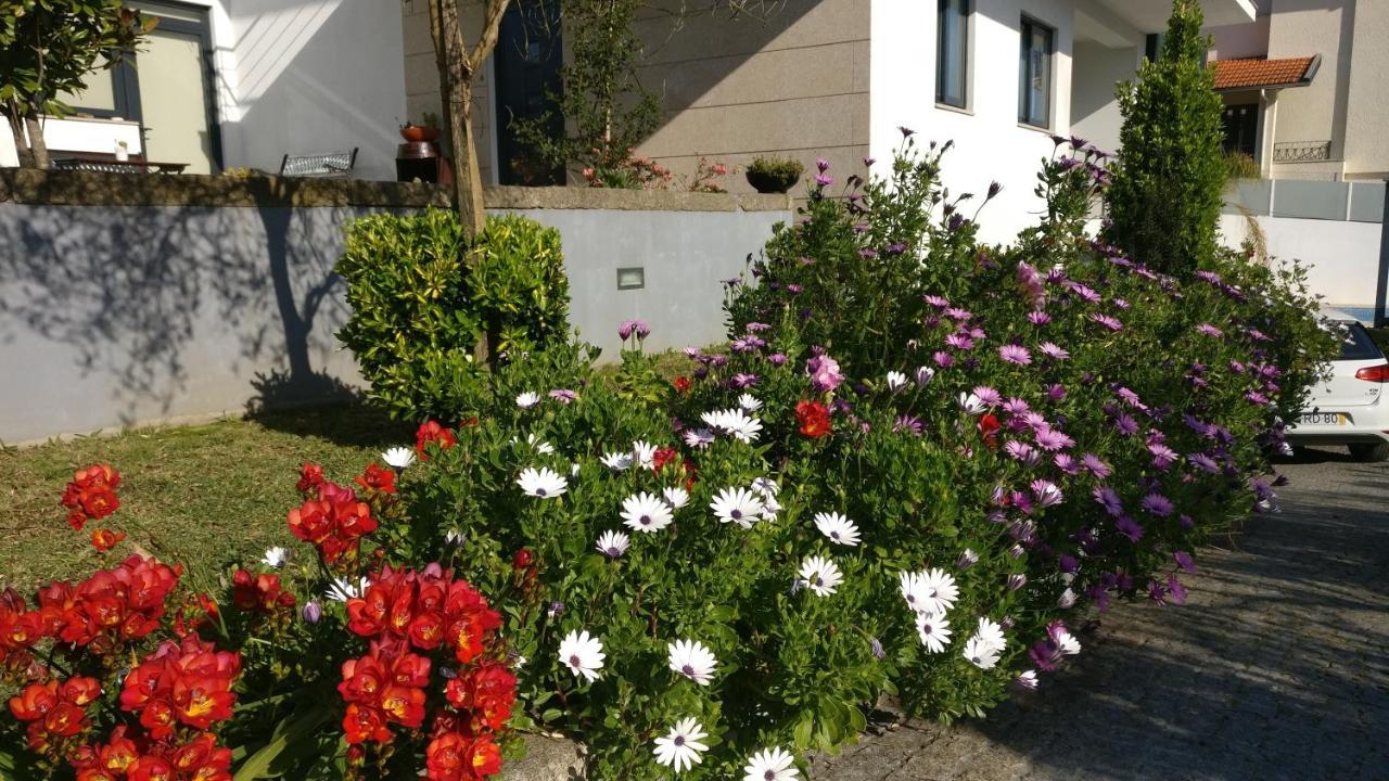 Casa De Coelhosa Hotel Vale de Cambra Kültér fotó